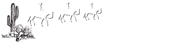 Desert Caballeros Ride